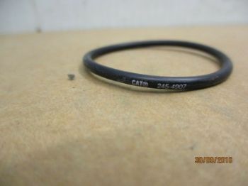 Seal, Injector resmi