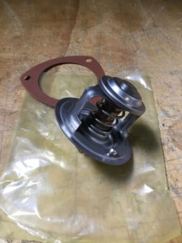 THERMOSTAT KIT resmi
