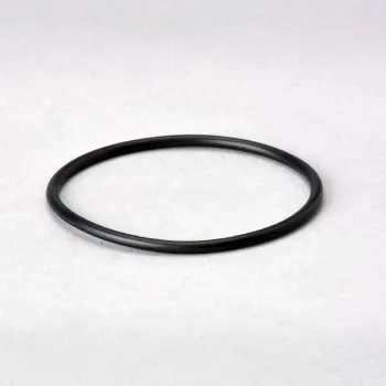 O-Ring resmi