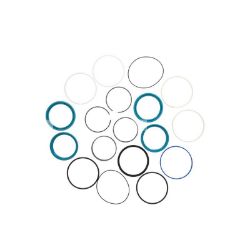 SET OF SEALS ASSY. resmi