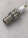 SPARK PLUG resmi