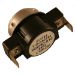 Thermostat 100-120F resmi