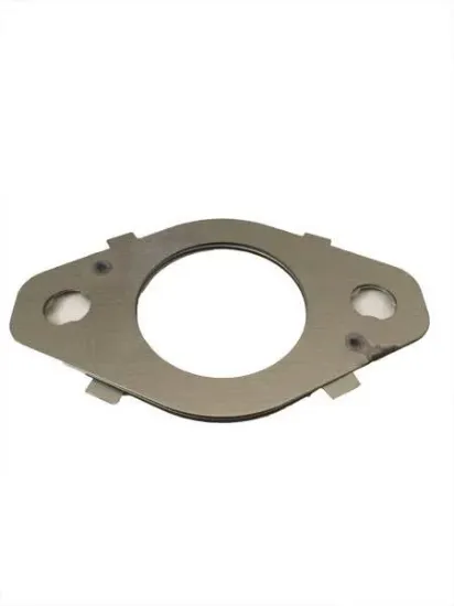 Picture of Gasket