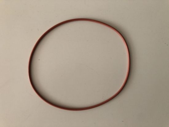 Picture of O-Ring