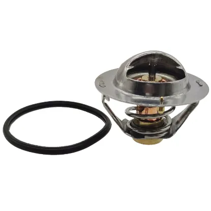 Picture of THERMOSTAT