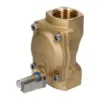 Picture of Brass Valve Without Solenoid, G1