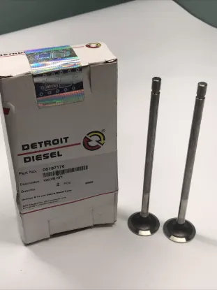 Picture of VALVE KIT