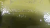 Picture of SHOE-CIRCLE
