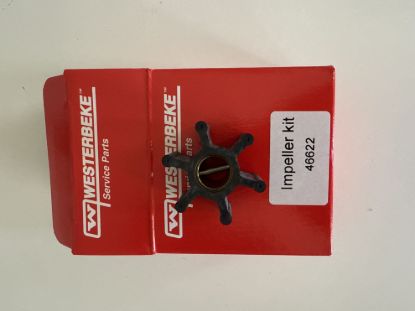 Picture of IMPELLER KIT 46120 PUMP