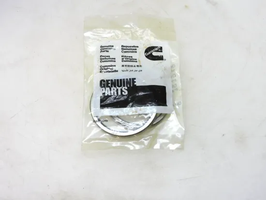 Picture of Thermostat Seal