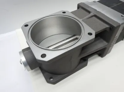 Picture of THROTTLE
