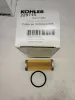 Picture of Fuel Filter