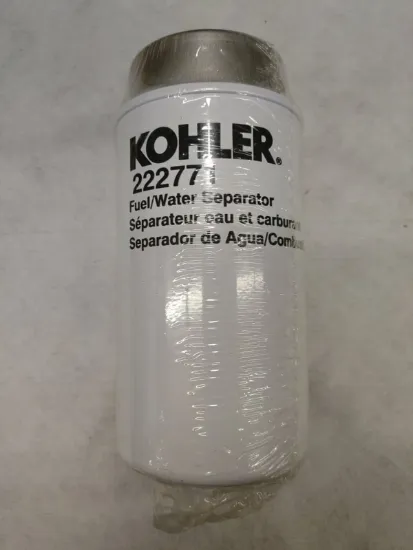 Picture of Filter, Fuel (Each or Case of 12)B
